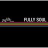 De-Lite Records - Fully Soul (Sky Blue LP) cover