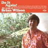 Do it Again! - The Songs of Brian Wilson cover