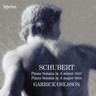 Schubert: Piano Sonatas D537 & 959 cover