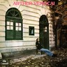Arthur Verocai (LP) cover