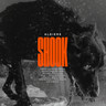 Shook (LP) cover