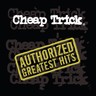 Authorized Greatest Hits (LP) cover