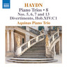Haydn: Piano Trios Volume 8 cover