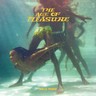The Age Of Pleasure (LP) cover