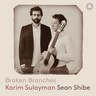 Broken Branches cover