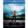 Kes - Reimagined (recorded in 2021) cover