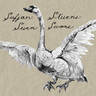 Seven Swans (20th Anniversary Edition Limited Silver LP) cover