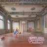 Beautifully Ordinary (LP) cover