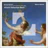 Johann Sebastian Bach cover