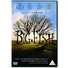 Big Fish cover
