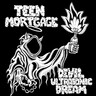 Devil Ultrasonic Dream (LP) cover
