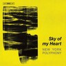 Sky of my Heart cover