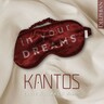 In Your Dreams cover