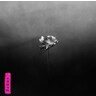 Lotus (Indies Exclusive Electric Pink Vinyl LP) cover