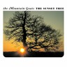 The Sunset Tree (20th Anniversary Limited Apricot Coloured Vinyl LP) cover