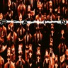Pain (Remaster 2026) cover