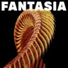 Fantasia (Limited Loser Edition LP) cover