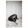 Materia (LP) cover