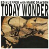Today Wonder (LP) cover
