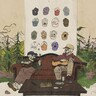 Pictures Of You (LP) cover