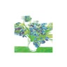 Blue Irises In Hologram (LP) cover