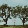 Ramblin' (LP) cover
