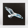 Between The Islands (LP) cover