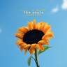 Joy In Short Moments (LP) cover