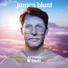 Airplane Mode (Clear And White Vinyl LP) cover