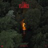 Old Flames (LP) cover